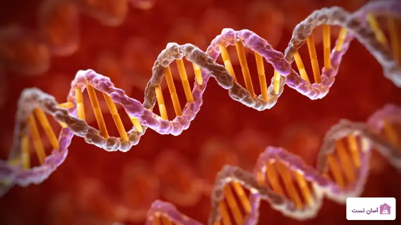 ژن های مرتبط با سرطان مثانه