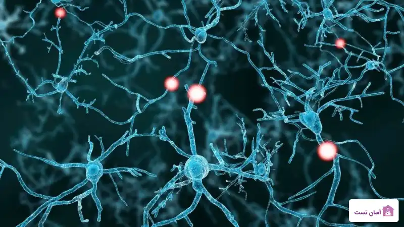 آسیب به نورون ها و تخریب مسیرهای عصبی